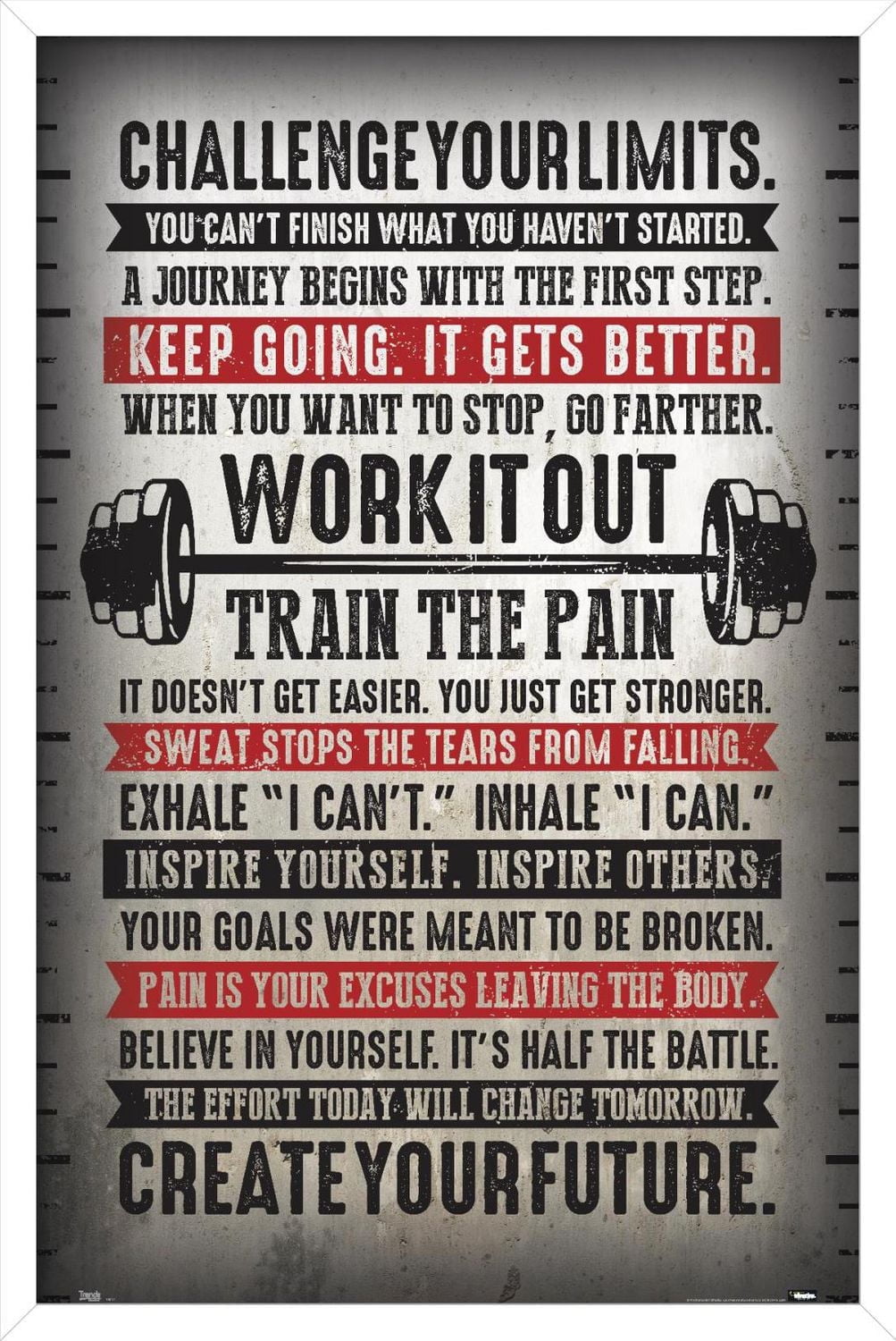 Challenge Your Limits Wall Poster