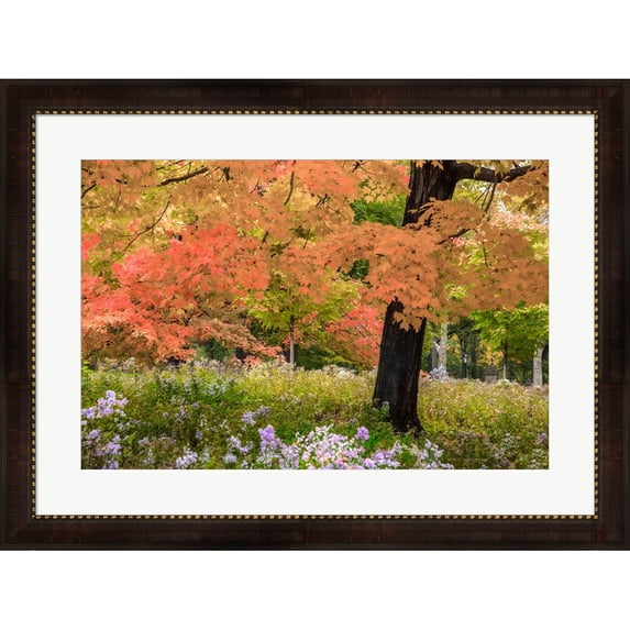 Great Art Now Autumn Splendor by Verne Varona, Framed Wall Art, 32W x 24H