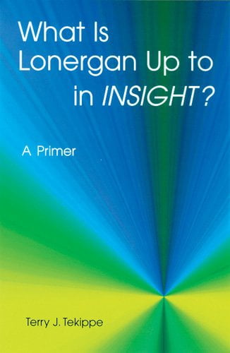 What is Lonergan Up to in "Insight"? : A Primer (Paperback)