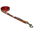 thumbnail image 1 of Sassy Dog Wear STRIPE-RED-MULTI1-L 4 ft. Multi Stripe Dog Leash- Red - Extra Small, 1 of 1