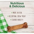 thumbnail image 2 of Nylabone Healthy Edibles Chews Variety Pack Regular, 2 of 6