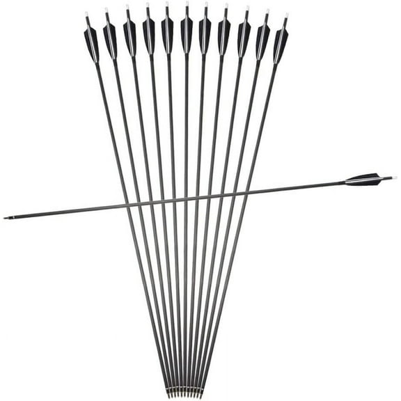 12 Pcs 34 Inches Archery Carbon Arrows Spine 500 Practice Hunting  with Turkey Feather and Removable Tips