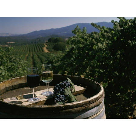 Ravenswood Winery Sonoma (Two Glasses of Wine on Barrel at Kunde Estates Winery, Sonoma Valley, Sonoma County, California Print Wall)