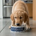 thumbnail image 1 of Plato para mascota NFL Dallas Cowboys 100% oficial, 1 of 7