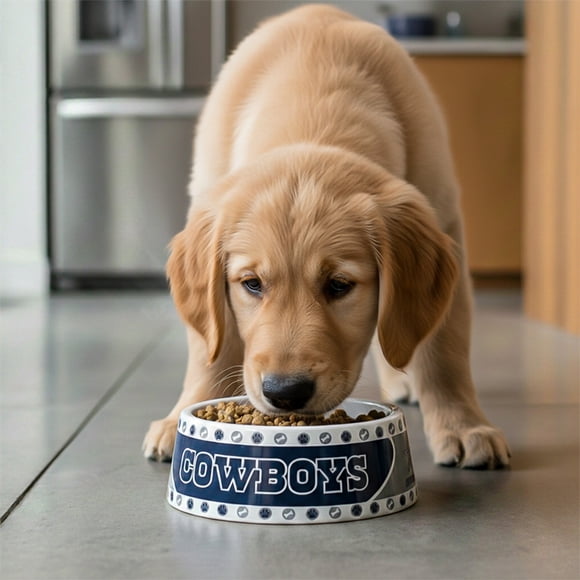 Plato para mascota NFL Dallas Cowboys 100% oficial