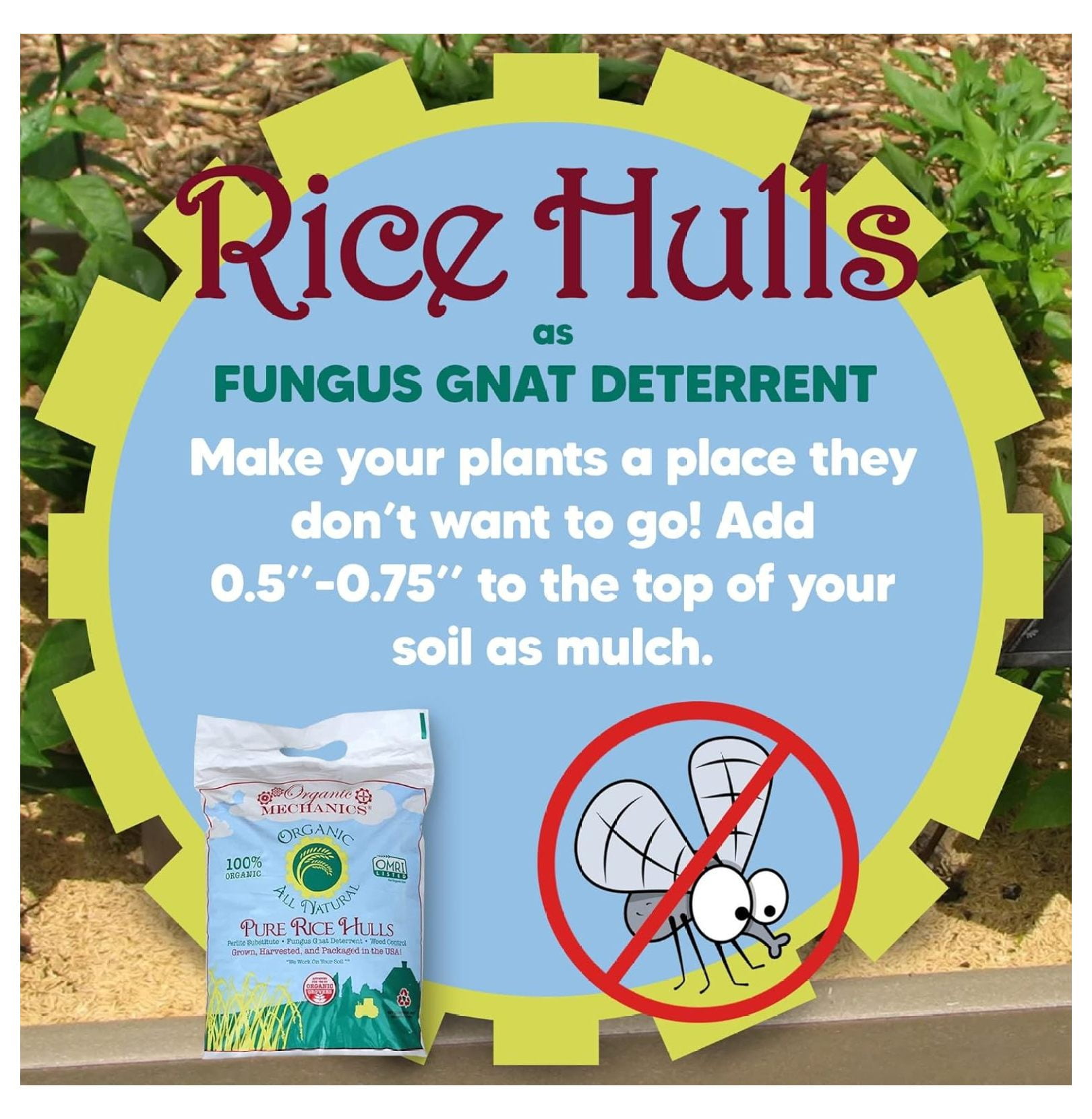 Pure Rice Hulls, 2 Cubic Foot - A Sustainable Alternative to Perlite - Enhances Drainage, Porosity and Air Space - Eco-Friendly & Locally Sourced