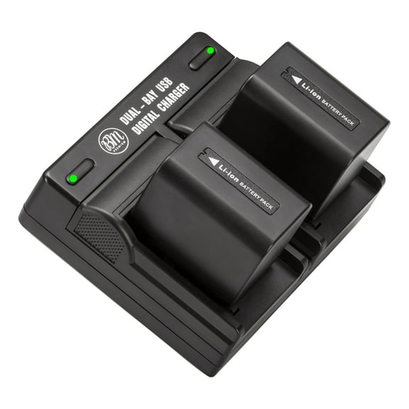 BM Premium Pack of 2 NP-FV70 Batteries and Dual Bay Battery Charger for Sony Handycam Camcorders