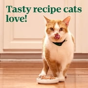 Nutro Wet Cat Food Pate MultiPack: Salmon & Tuna; Chicken & Liver and Chicken; (24) 2.64 oz. Trays