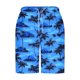 thumbnail image 4 of Pantalones Cortos Casuales para Hombre Imprimir con Bolsillos Pantalones de Playa de Cintura Elástica, Pantalones Cortos de Cintura Elástica para Hombre, 4 of 9