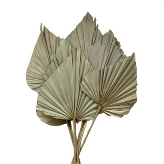 Metrotex Designs 41314 36 in. Palm Spear Extra Large Leaves, Natural - 9 Piece