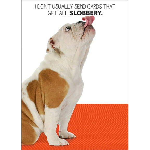 RSVP Bulldog Licking : Get All Slobbery Funny / Humorous Dog Birthday Card