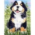 thumbnail image 1 of 11 x 15 in. Bernese Mountain Dog Garden Size Flag, 1 of 1