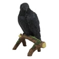 thumbnail image 2 of Ebros Gothic Raven Crow Perching On Tree Branch Scavenger Bird Figurine 5.75" H, 2 of 6
