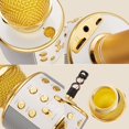 thumbnail image 3 of Strawbarry Wireless Microphone Professional Condenser Karaoke Mic Stand Radio Mikrofon Studio Recording Studio Mic Machine, 3 of 9