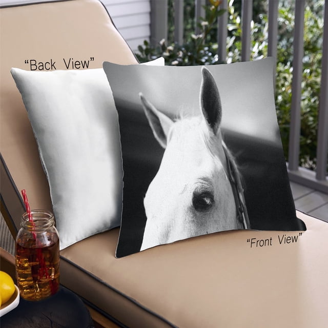 Ahgly Company Coussin d'Extérieur Animaux Cheval, 18 Pouces par 18 Pouces