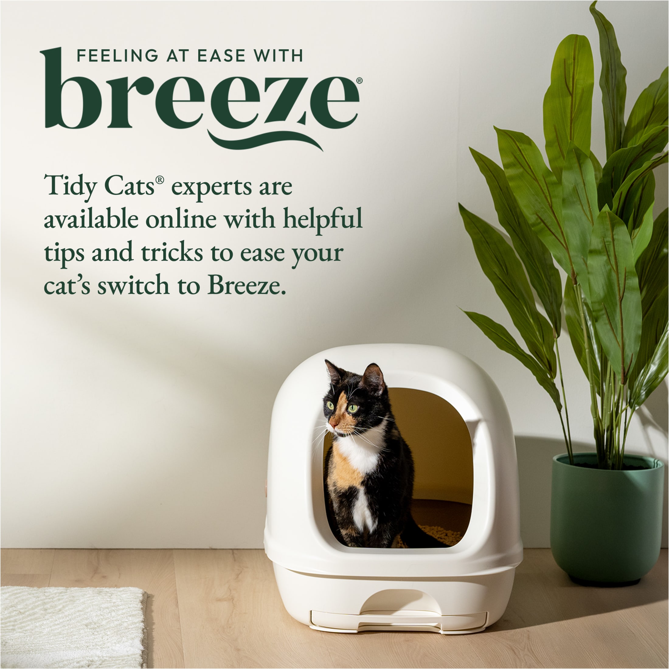 Purina Tidy Cats Breeze Covered Cat Litter Box System Kit photo 7