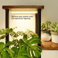 thumbnail image 3 of Soporte para plantas Bamworld de metal y madera de 5 niveles con luces de cultivo, 3 of 6