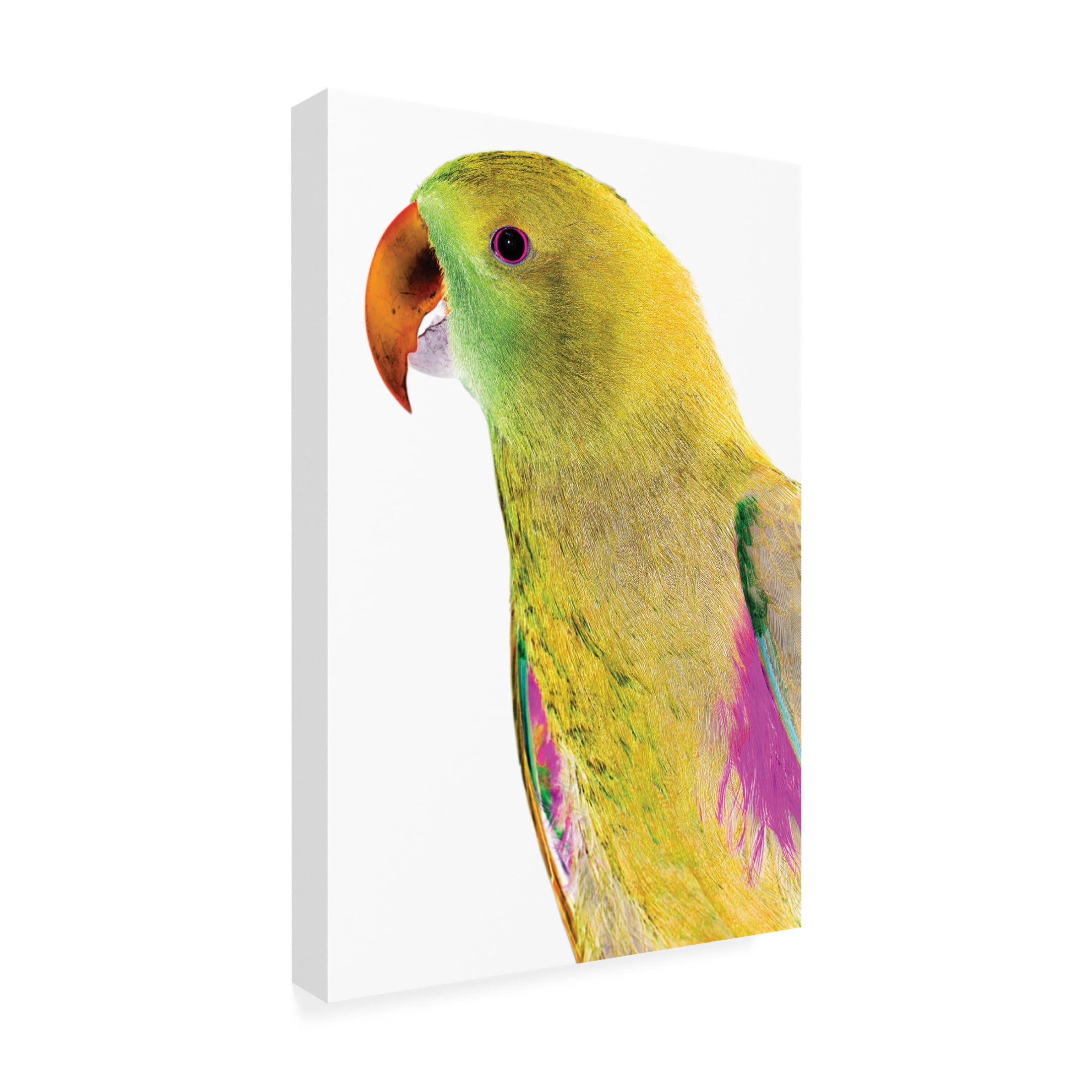 Trademark Fine Art Shot by Clint Polly Canvas Wall Art