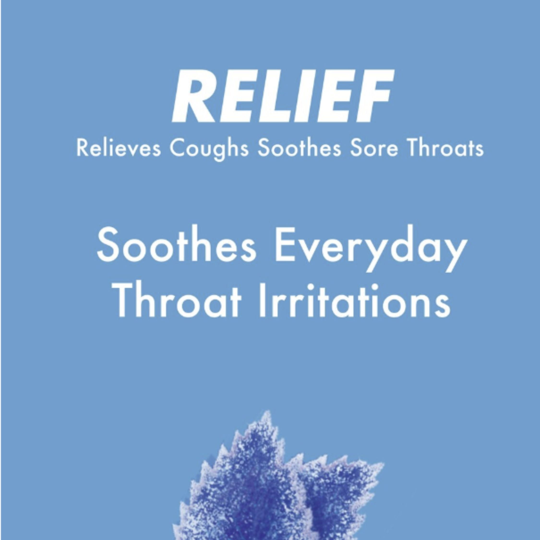 HALLS Relief Mountain Menthol Sugar Free Cough Drops, Economy Pack, 70 Drops - PACK 6