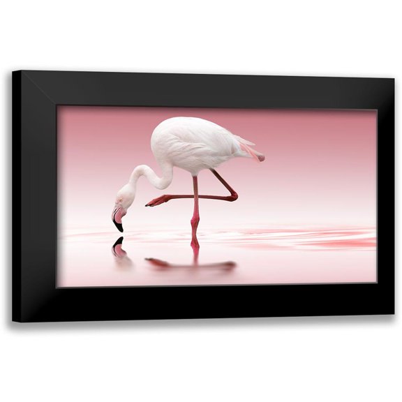 Reindl, Doris 14x10 Black Modern Framed Museum Art Print Titled - Flamingo