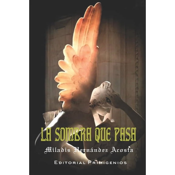 La Sombra Que Pasa (Paperback)
