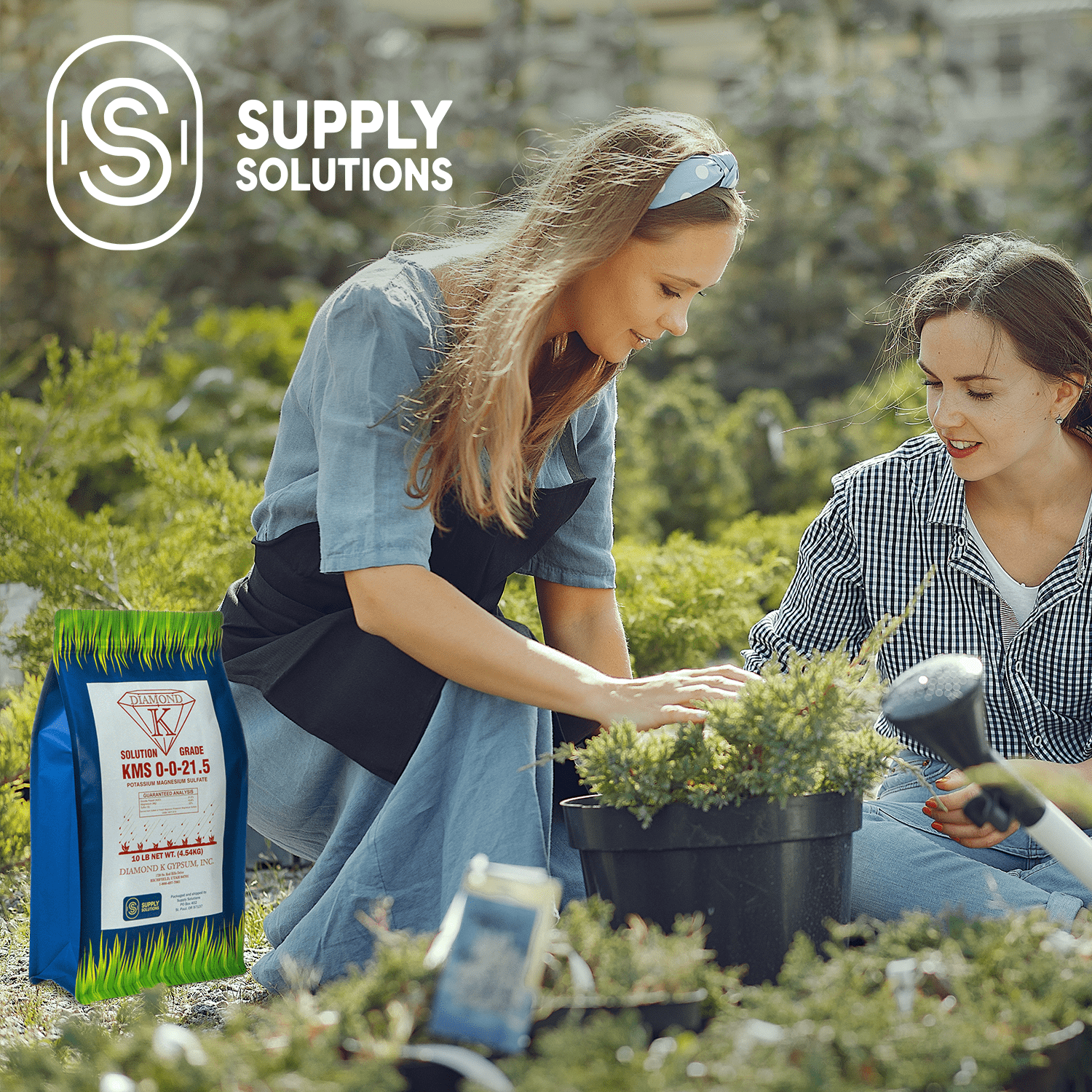 KMS 0-0-21.5 (Potassium Magnesium Sulfate) Fertilizer - Plant Food - The Best for Low Magnesium Soils Prone to Nutrient Loss - Ideal for Lawns, Garden, Vegetable, and Fruit Crops (10 Pounds)