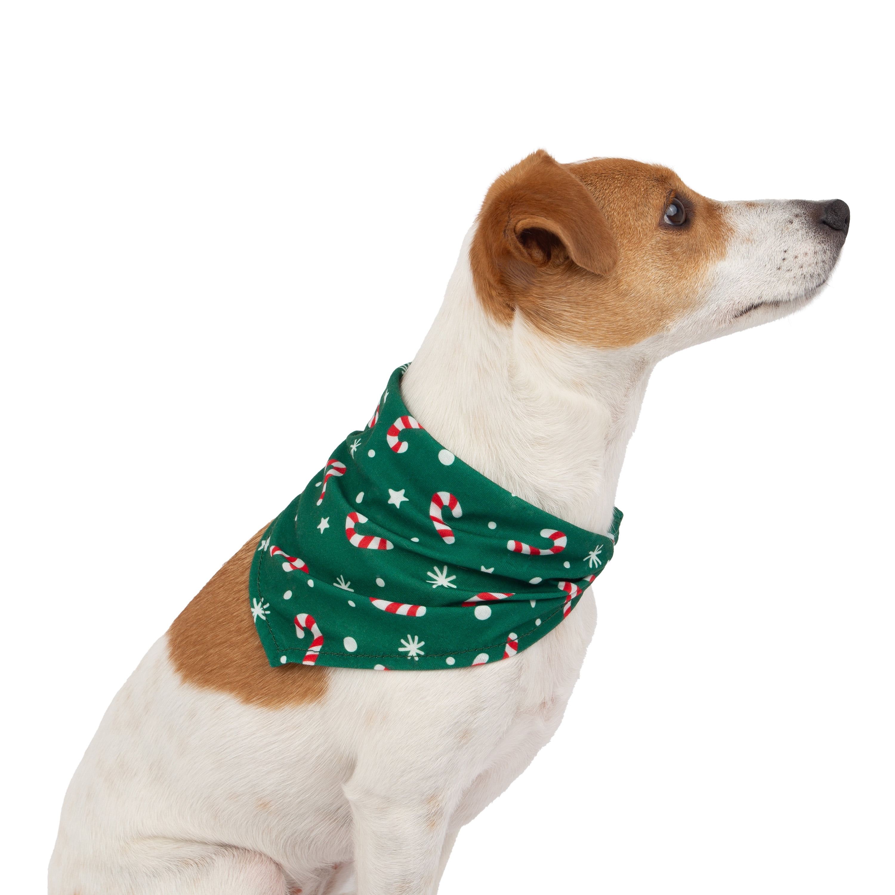 One Paw, Holiday Bandana, Dog Accessory, Festive Fashion Wear, Green