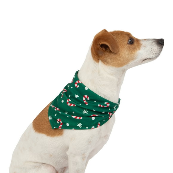 One Paw, Holiday Bandana, Dog Accessory, Festive Fashion Wear, Green