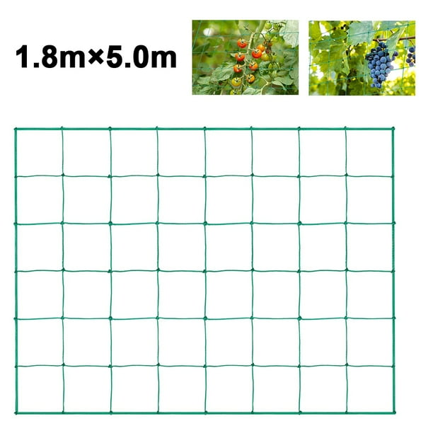 Green Lattice Plant Crawling Net Garden Plant Trellis Netting Plant
