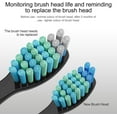 thumbnail image 3 of 3-30 Electric Toothbrush Replacement Heads Fit For Fairywill Electric With FW-507/508/551/515/917/959/2011/D1/D3/D7/D8, 3 of 4