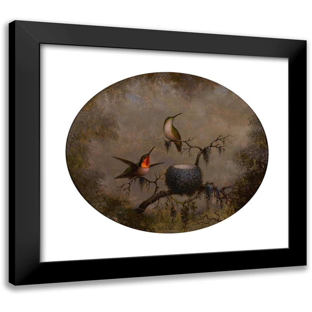 Martin Johnson Heade 17x15 Black Modern Framed Museum Art Print Titled ...