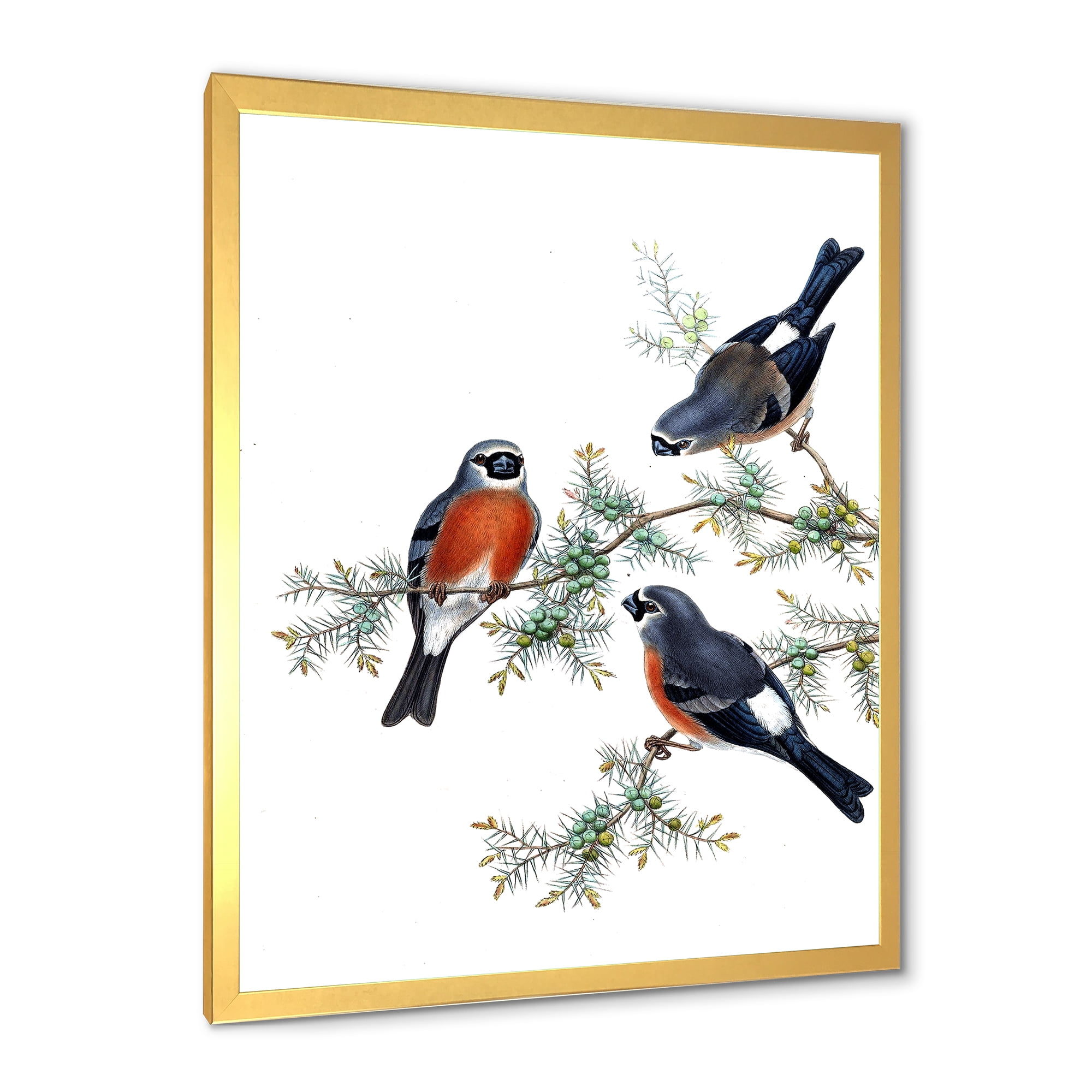 Designart 'Vintage Countryside Birds On Branch III' Farmhouse Framed Art Print