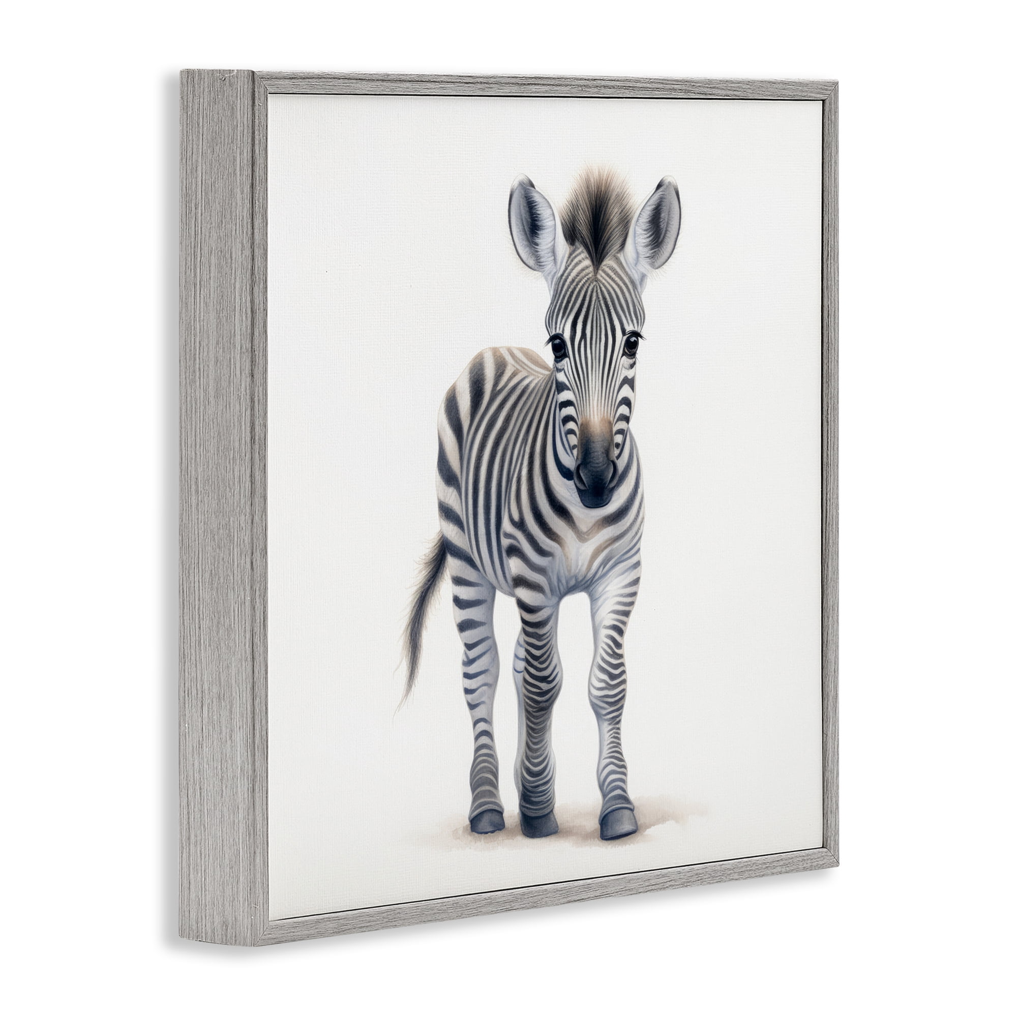 Stupell Industries Friendly Zebra Foal Gray Framed Giclee Art, design by Ray Powers
