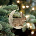 thumbnail image 2 of Christmas Ornaments Animals Sitting On the Moon Ornaments for Christmas Tree Doubleprinted Acrylic Hanging Pendant for Christmas Tree Decorations Window Wall Hanging Ornament Living Room Decoration, 2 of 4