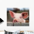thumbnail image 1 of Cute Young Pig Wall Mural by Wallmonkeys Peel and Stick Graphic (24 in W x 20 in H) WM3233, 1 of 4