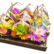Fantasy Farms 9 Gift Arrangement - Fresh Cut Flowers