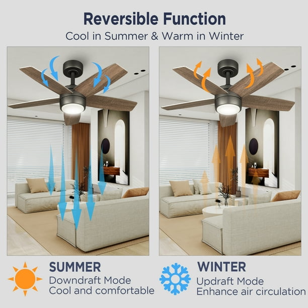VAGIZM Ceiling Fan With Light Remote: 36 Inch Small Ceiling Fans