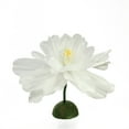 thumbnail image 2 of Northlight  22" White/Yellow Artificial Floral Spring Craft Stem, 2 of 6