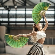 Moocorvic 13 Inch Kung Fu Fan Handheld Folding Fan Chinese Dance Prop for Dance, Performance