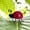 Red, variant on Metal Ladybugs Garden Wall Art, Colorful Cute Decorative Yard Decorations Outdoor Lawn Wall Sculpture, Garden Yard Art Ladybugs For Outside Garden Walls, Metal Sculptures For Patio Fence Decor,Yellow