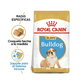 thumbnail image 2 of Combo Royal Canin Bhn Bulldog Puppy 13.6 Kg MAS Dos Latas Royal Canin Adulto 385 gr, 2 of 3