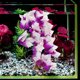 thumbnail image 2 of Plantas artificiales para reptiles, plantas de plástico realistas, hojas colgantes, decoración con ventosa para reptiles, terrario, pecera, 2 of 6