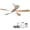 Matte White + ABS, variant on 45 Inch Smart Ceiling Fan with Light 18W Tri Color Dimmable LED Alexa APP Control Quiet Reversible Motor Memory Function Timer