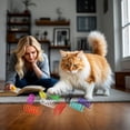 thumbnail image 2 of JoyArrive 24Pcs 6Colors Cat Springs Toys for Indoor Cats, Interactive Self-Play Hunting Toys for Kittens, Biting & Swatting Creative Cat Coils Toys, 2 of 12