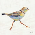 thumbnail image 3 of Vertentes, Jeanette 12x12 Black Modern Framed Museum Art Print Titled - Coastal Plover I Linen, 3 of 5