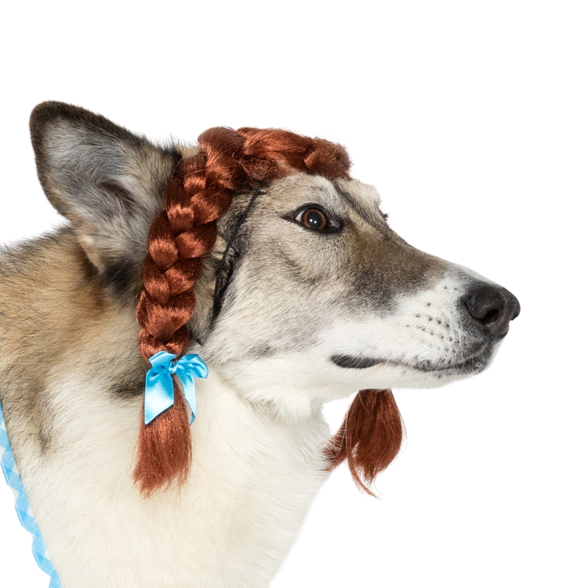 Vibrant Life Halloween Gingham Girl Costume for Dogs, Blue and White, Extra Large