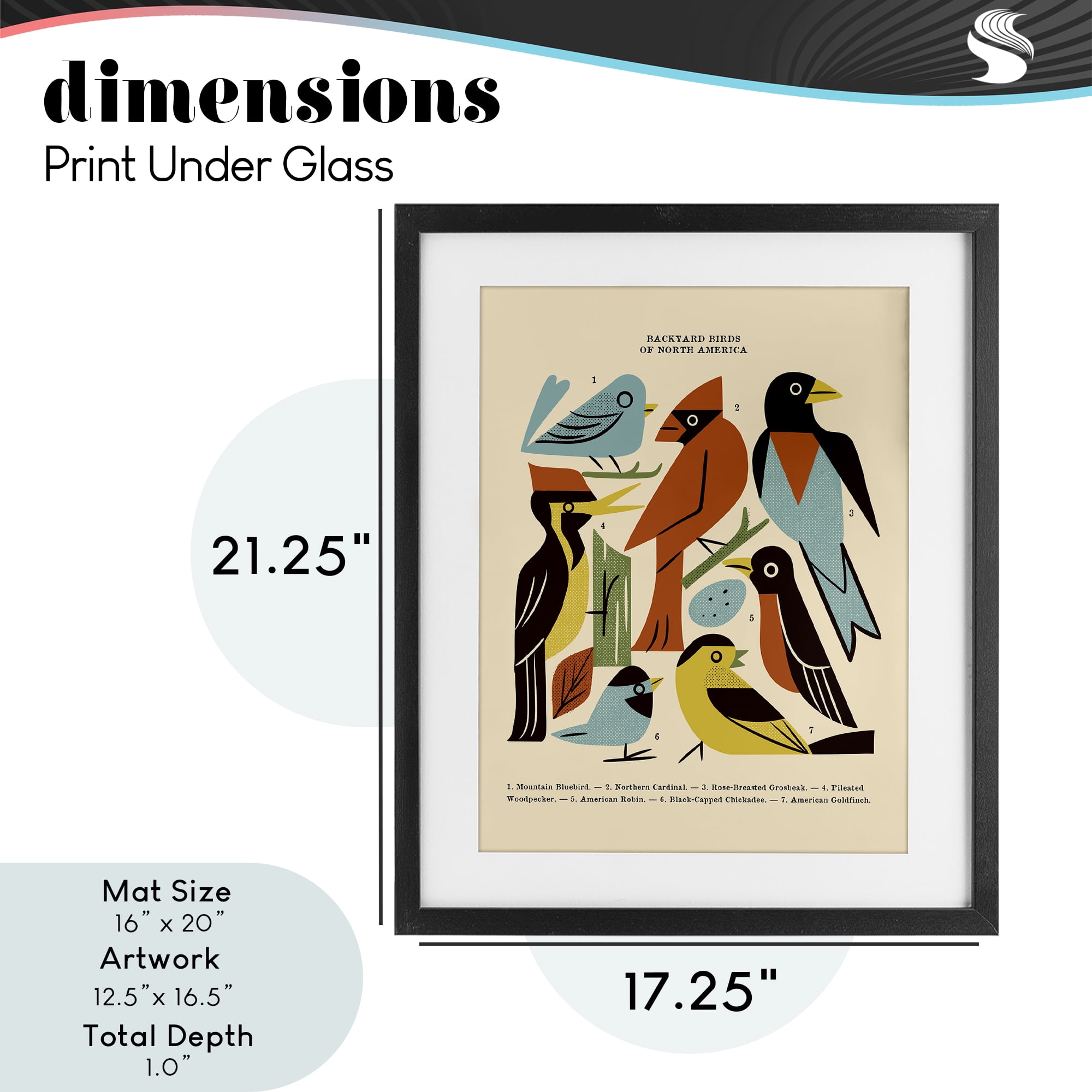 Backyard Birds Midcentury Modern Black Framed Print Under Glass, design by Renea L. Thull