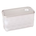 thumbnail image 2 of Caja de almacenamiento de huevos Organizador de huevos de plástico Rejillas Recipiente de cocina con tapa, Caqui, Doble capa, 20 Rejillas Inevent HA003375-04, 2 of 2