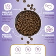thumbnail image 6 of Health Extension Grain Free Chicken & Turkey Dry Dog Food (1 lb / 0.45 kg) - Whole Foods Ingredients Formula with a Blend of Turmeric & Antioxidants for All Life Stages Dogs, 6 of 10