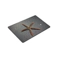 thumbnail image 3 of CADecor sea star Non-Slip Machine Washable Bathroom Indoor/Outdoor Doormat 30x18 Inches, 3 of 3